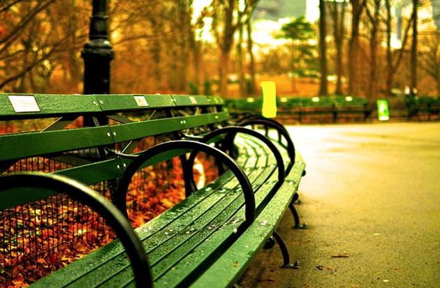 council_park_bench